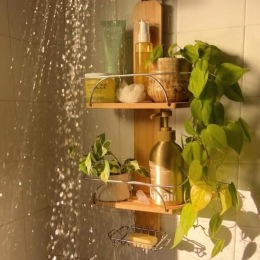 a shower with products and a plant